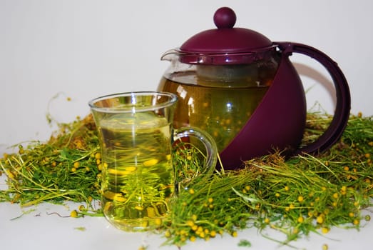 Camomile tea