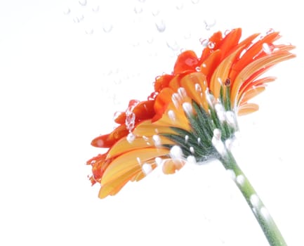 It's raining...