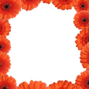 Flower frame