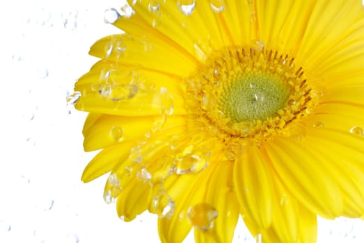 Spring rains
