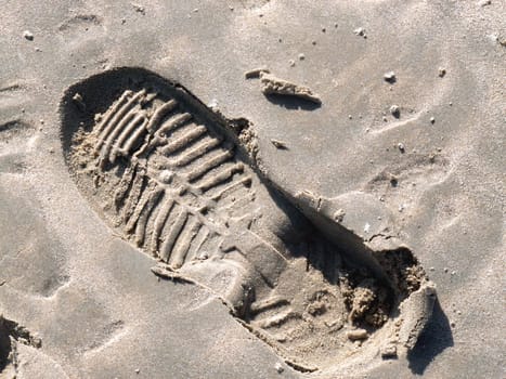 Tracks in the sand