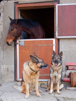 The Trio