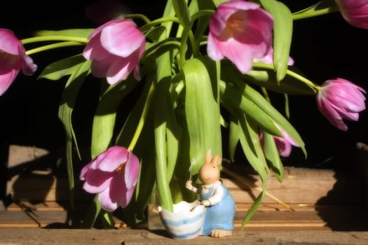 Easter bunny pictures