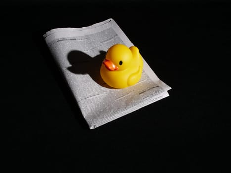 Canard