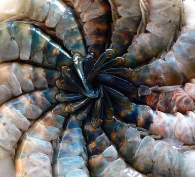 King prawns