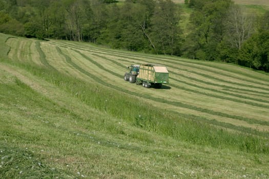 Tractor and meadow