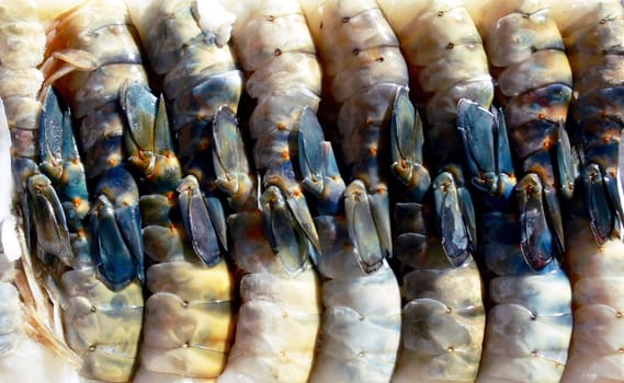 King prawns