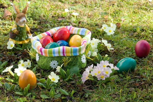 Easter Bunny
