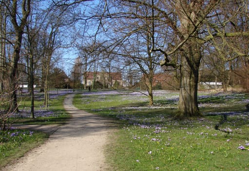 Spring in the Park