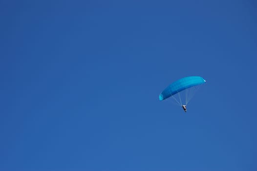 Paraglider