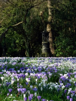 Spring in the cemetery