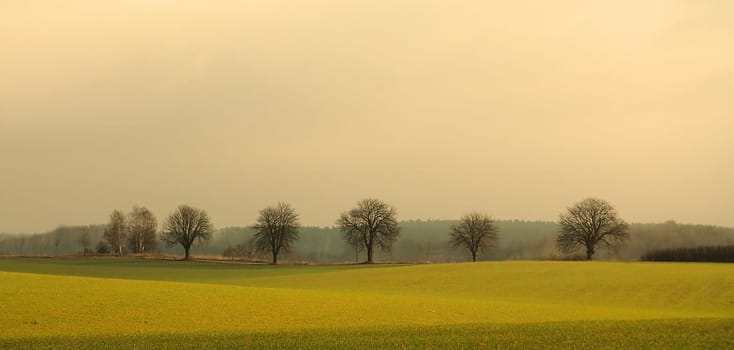 I think because of the small hills,this area is also called Mecklenburg Switzerland.......!:-)