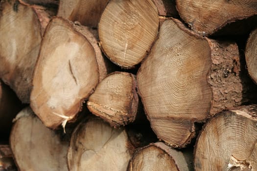 Woodpile 2