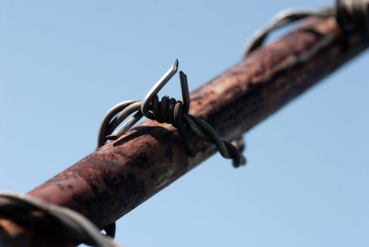 Barbed wire