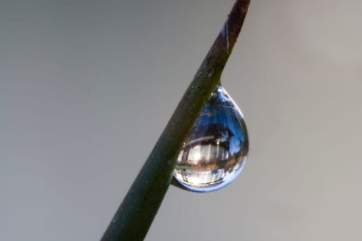 Dewdrops with reflection