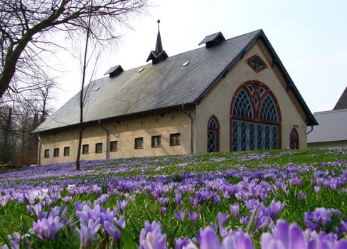 Coach house at crocus blossom