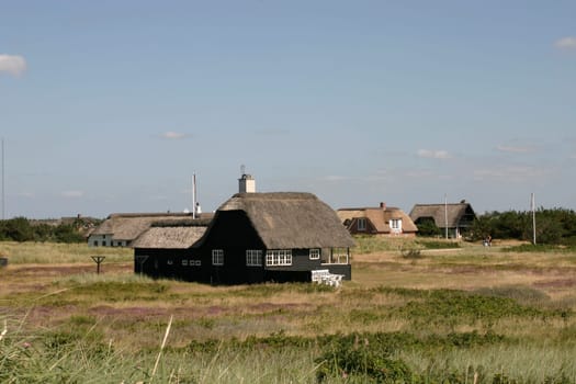 Houses with thatched roofs