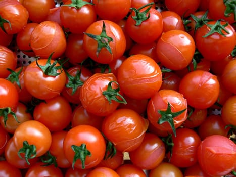 Tomatoes blanched