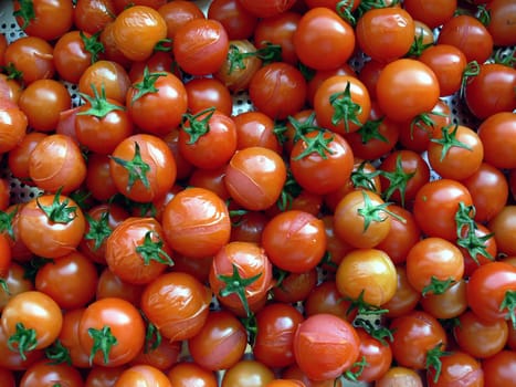Tomatoes blanched