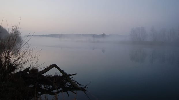 Dawn Hagneck Canal