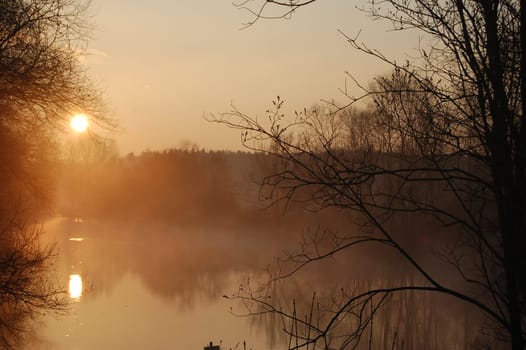 in the morning mist