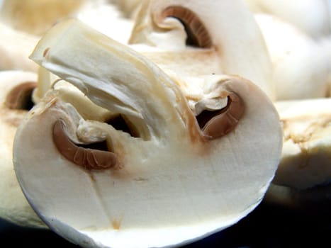 Mushrooms