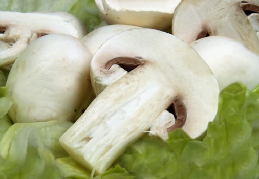 Mushrooms
