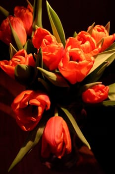 Bouquet of tulips