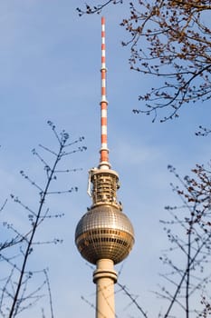 Television tower with branches