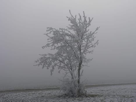 Silence