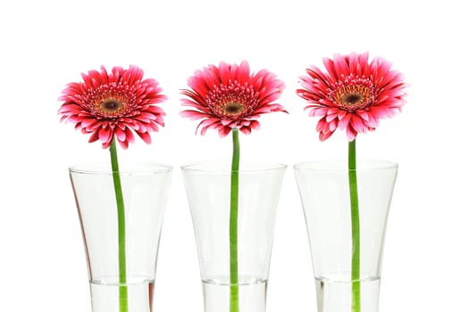 three flowers