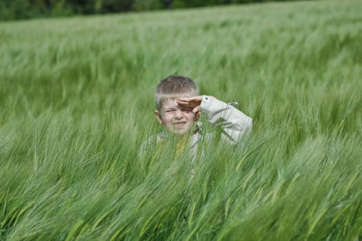 In the field
