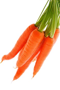 Carrots