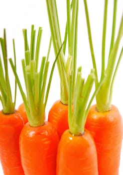 Carrots