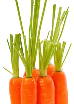 Carrots