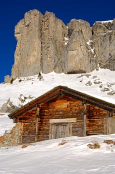 Alpine hut