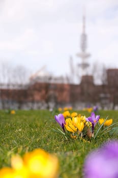 Spring in Hamburg