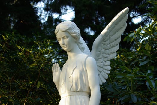 Angel in white