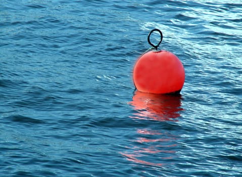 Buoy