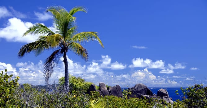 View of the Indian Ocean from a hill on Praslin Island