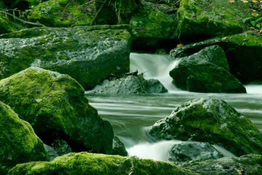 River with rocks