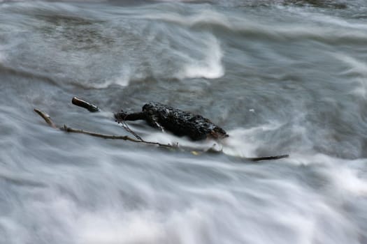 The course of the river