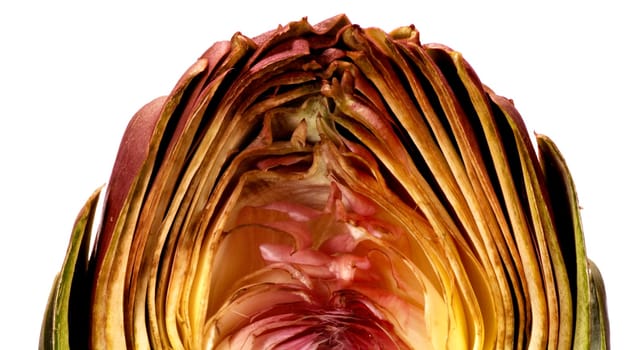 Artichoke