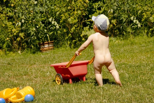 Gardener