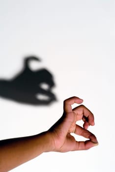 Shadow Figure Bulldog