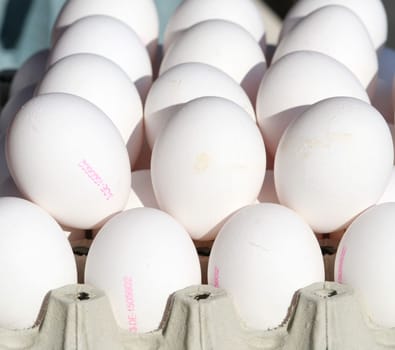 Egg,egg,egg....
