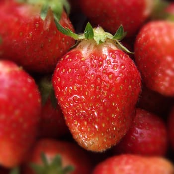 Strawberries 3