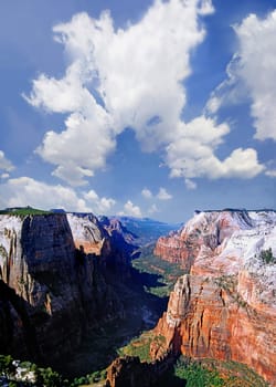 From the Observation Point there is a magnificent view of Zion Canyon. We reached this 650m higher viewpoint after about 4 hours of walking in breathtaking nature.  Surrounded by up to 1000m high cliffs from Navajo Sandste
