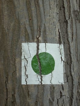 Trail marking 3