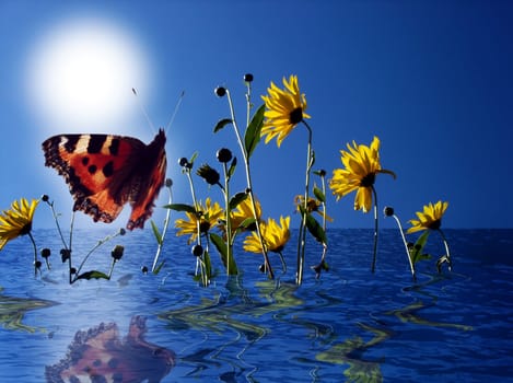 take a look at the picture with soap bubbles,don't know which one is better.......